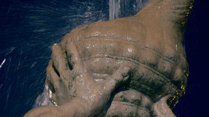 Marijke van Warmerdam: Then, now, and then